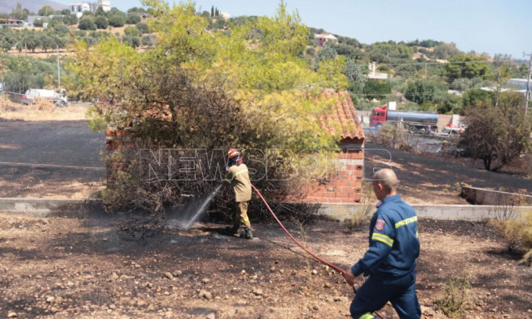 Χωρίς ενεργό μέτωπο η φωτιά στην Αργιθέα, σε επιφυλακή οι δυνάμεις