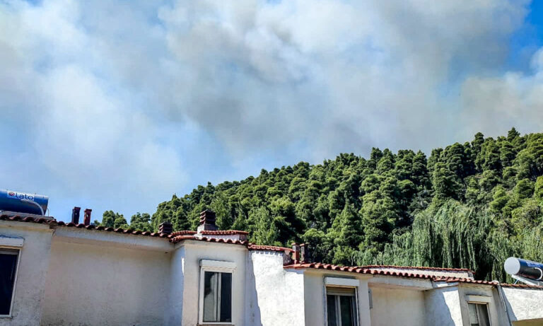 Φωτιά στη Χαλκιδική: Αγωνία στη Σίβηρη με απομακρύνσεις από τη θάλασσα