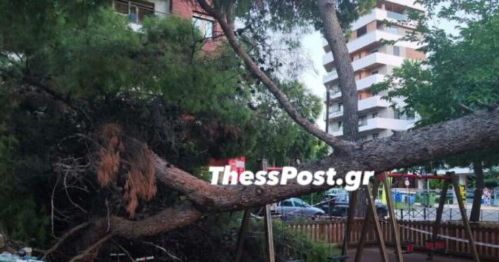 Καλαμαριά: Δέντρο κατέρρευσε σε παιδική χαρά και τραυμάτισε μητέρα με το παιδί της