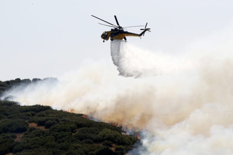 Πύρινος συναγερμός σε Ορεστιάδα και Ηλεία – Στη μάχη ισχυρές επίγειες και εναέριες δυνάμεις