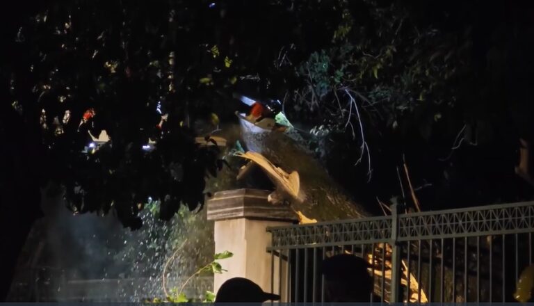 Μεγάλο δέντρο κατέρρευσε δίπλα στο Μέγαρο Μαξίμου και έκλεισε η Ηρώδου Αττικού