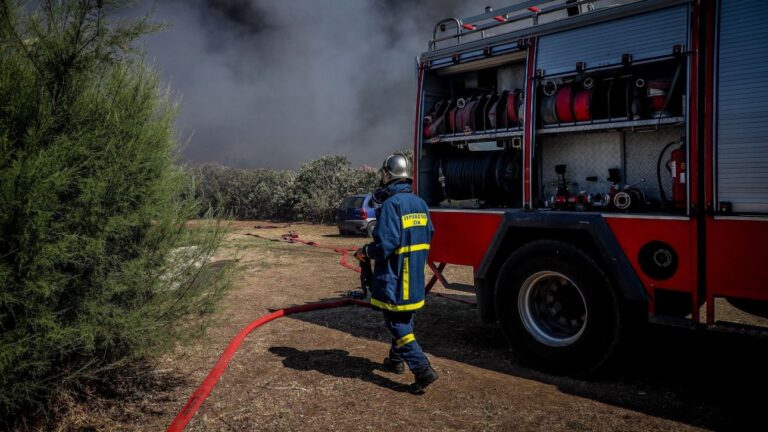 Φωτιά στον Δήμο Δέλτα Θεσσαλονίκης: Μεγάλη κινητοποίηση της Πυροσβεστικής